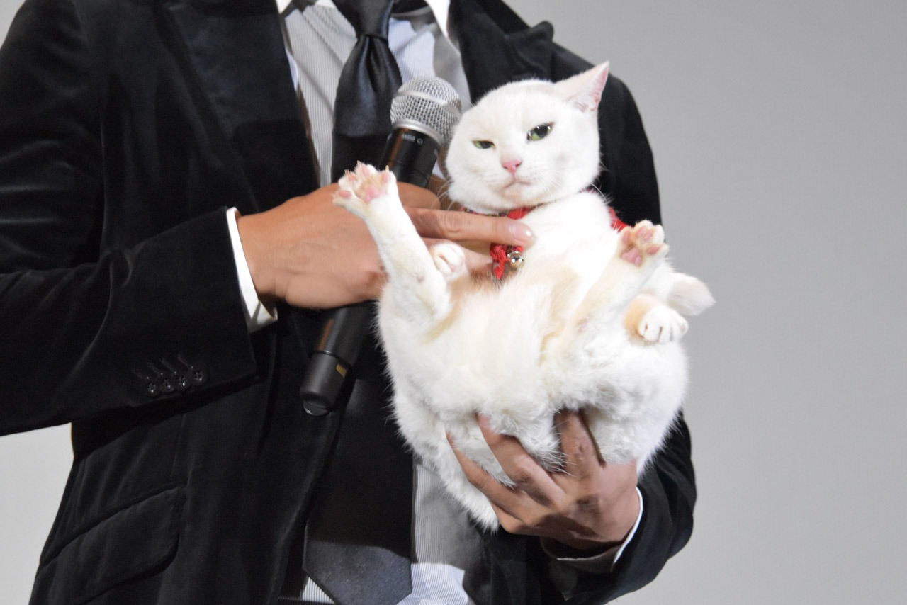 北村一輝に抱かれるあなご。