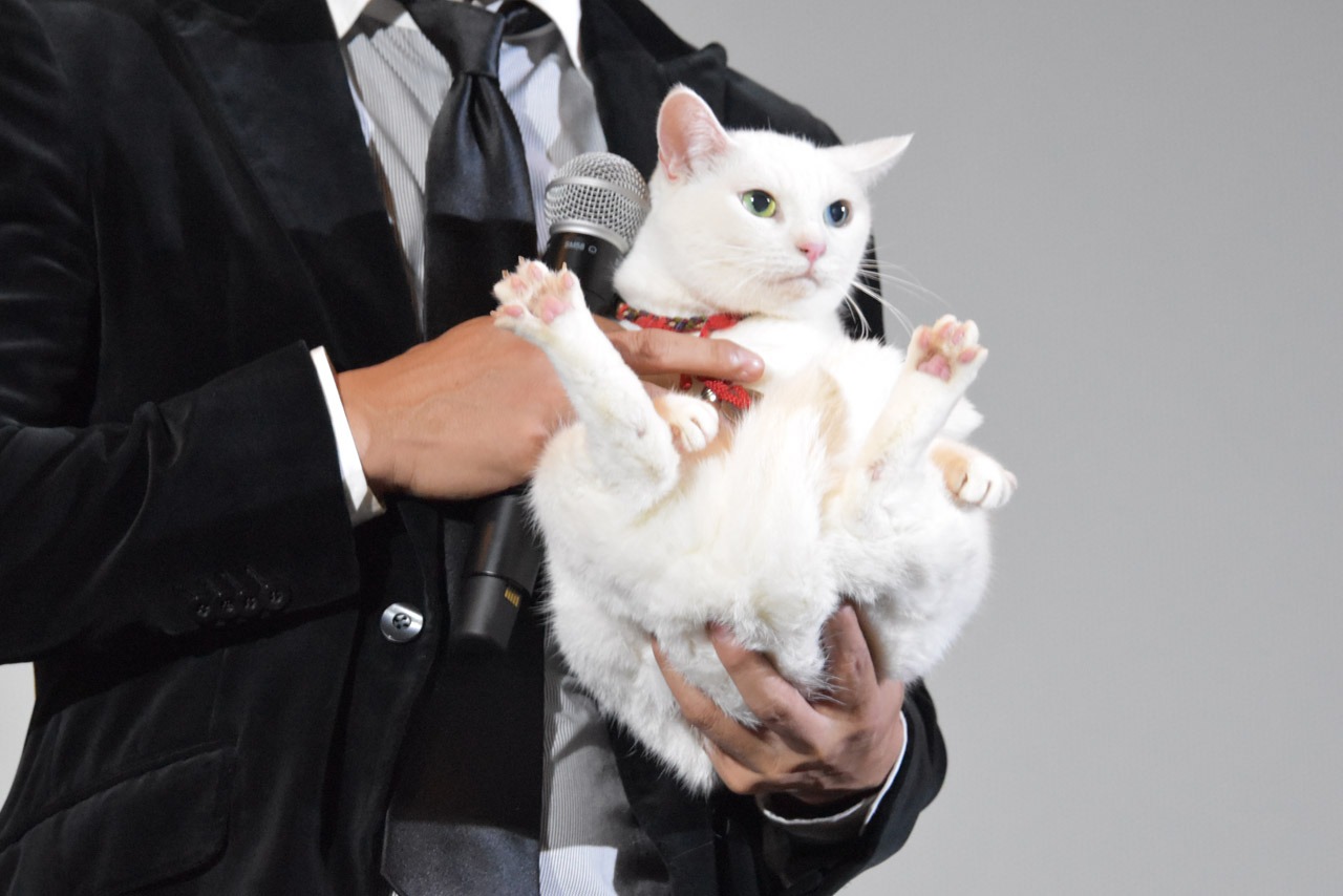 北村一輝に抱かれるあなご。