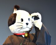 応援にやって来たニャンまげ。