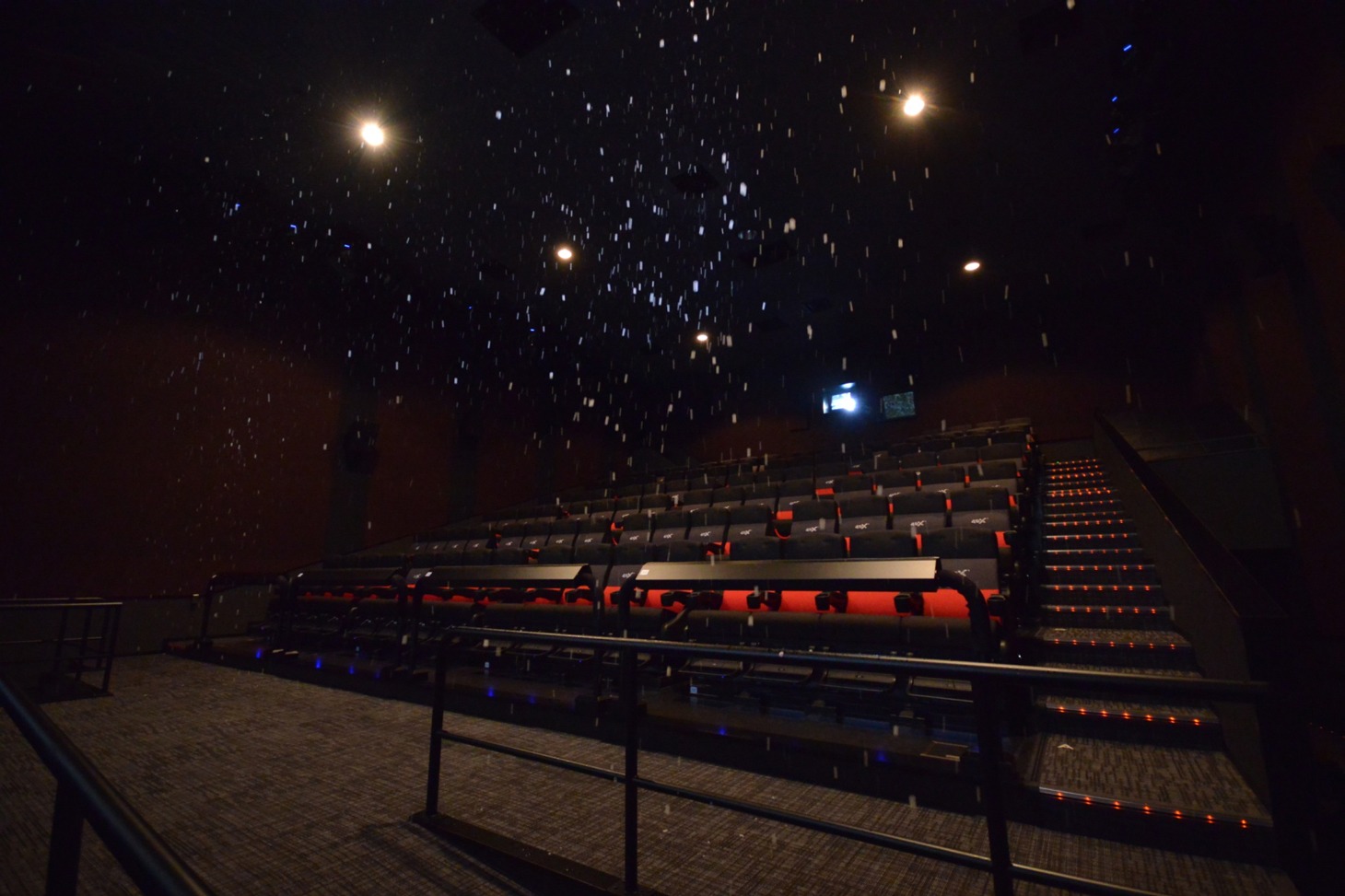 4DX、雪の様子。
