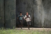 「メイズ・ランナー」 (c)2015 Twentieth Century Fox Home Entertainment LLC. All Rights Reserved.