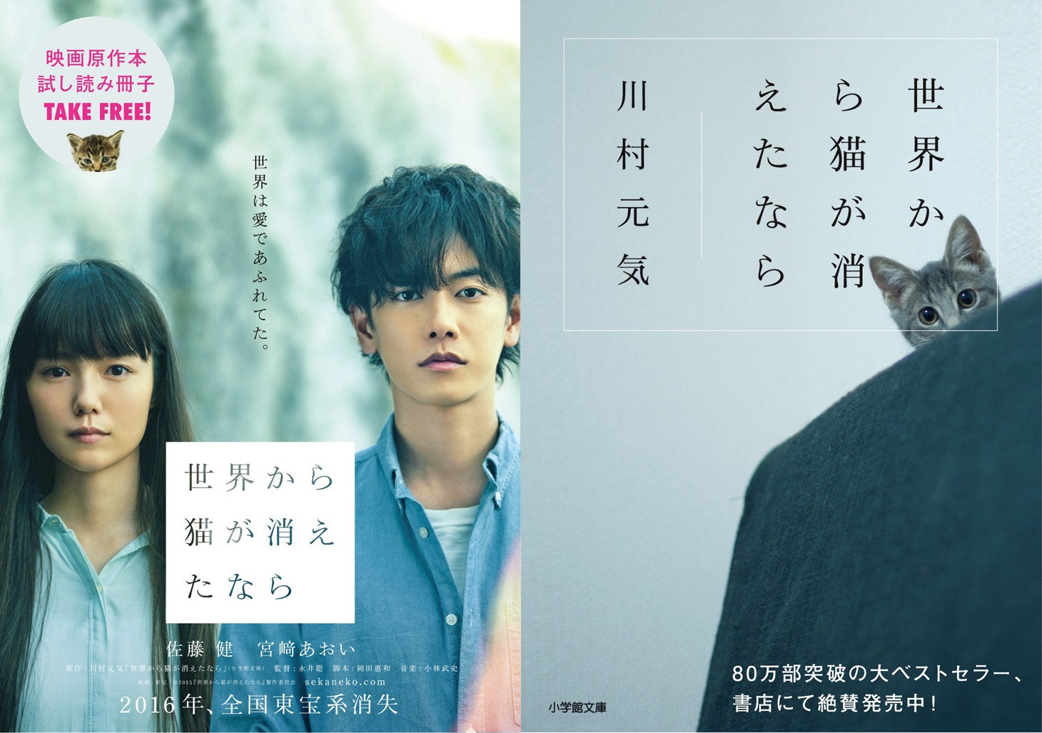 「世界から猫が消えたなら」試し読み冊子 (c)2016 映画「世界から猫が消えたなら」製作委員会