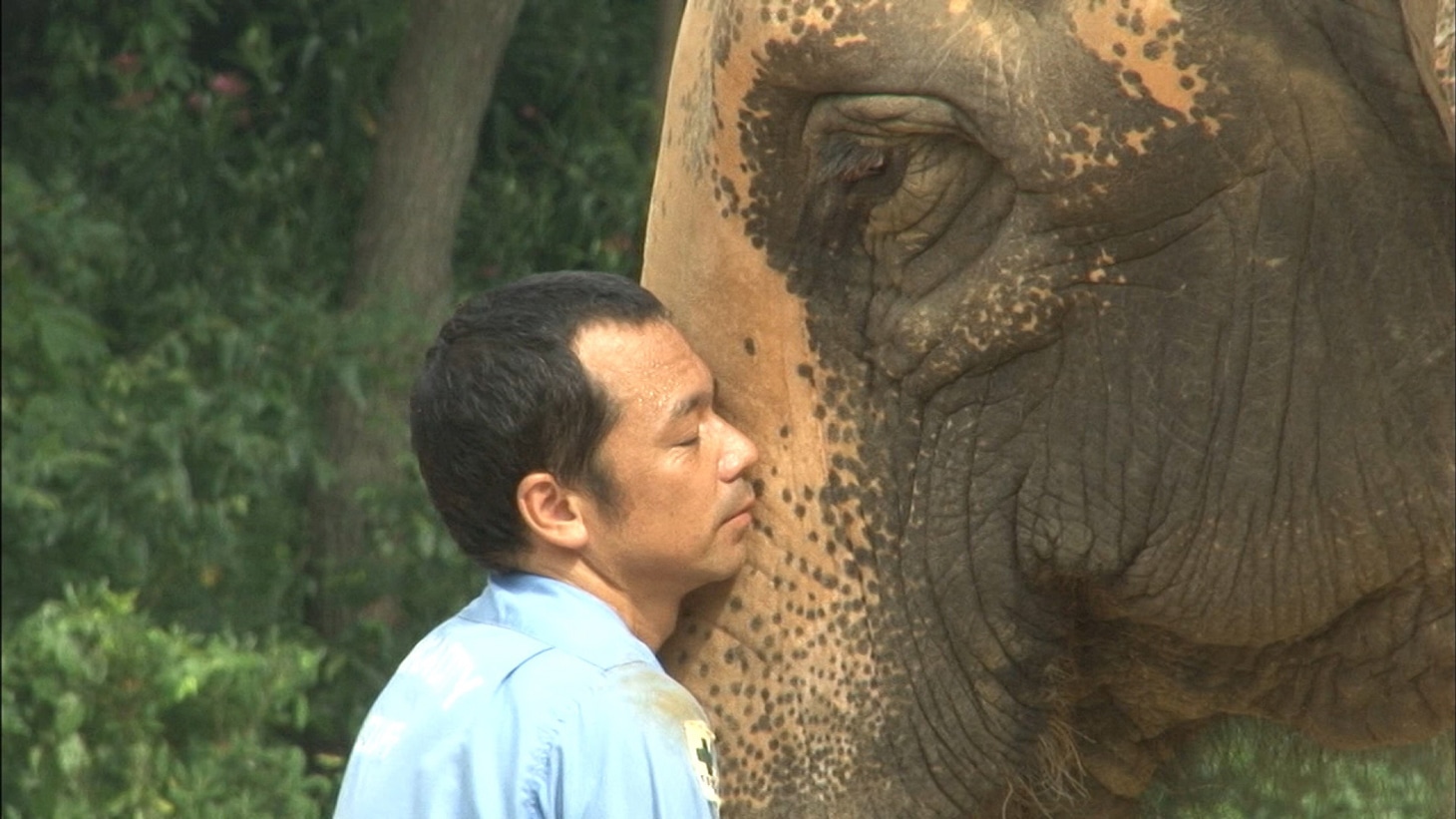ゾウの春子と飼育員の西村慶太氏。（写真提供：テレビ大阪）