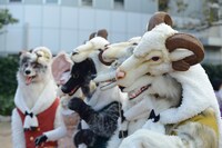 過去の「KAWASAKI Halloween」の様子。