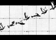 「寝台鳩舎」より。(c)鳩山郁子／太田出版