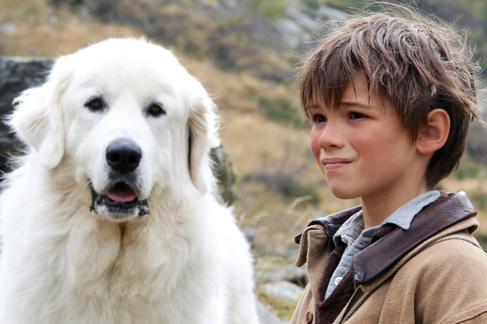 「ベル＆セバスチャン」 (c)2013 RADAR FILMS EPITHETE FILMS GAUMONT M6 FILMS ROHNE-ALPES CINEMA