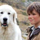 「ベル&セバスチャン」子役&白くてふわふわな犬の仲良し2ショット写真