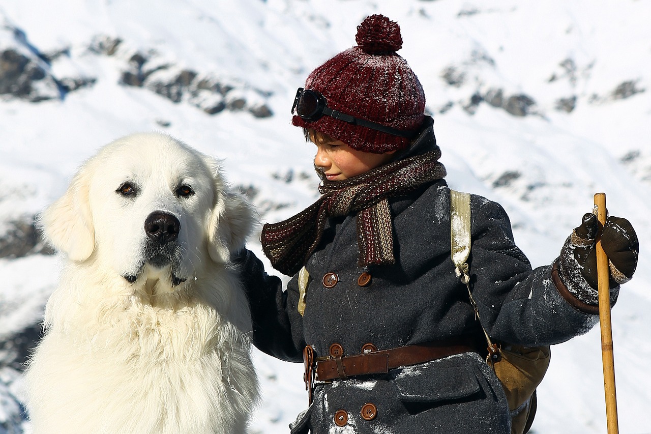 「ベル＆セバスチャン」 (c)2013 RADAR FILMS EPITHETE FILMS GAUMONT M6 FILMS ROHNE-ALPES CINEMA