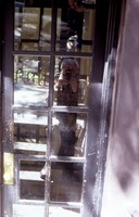 「写真家ソール・ライター 急がない人生で見つけた13のこと」