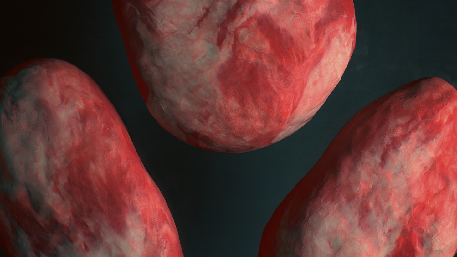 「バグバーグ」監督：大寳ひとみ