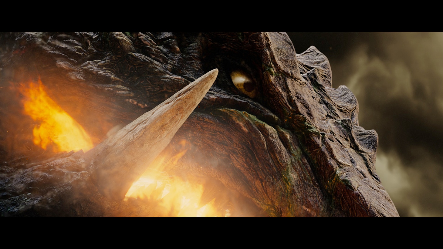 「GAMERA」 (c)GAMERA／KADOKAWA