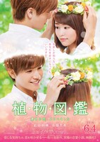 「植物図鑑 運命の恋、ひろいました」ポスタービジュアル (c)2016「植物図鑑」製作委員会