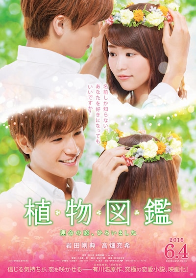「植物図鑑」ポスタービジュアル (c)2016「植物図鑑」製作委員会