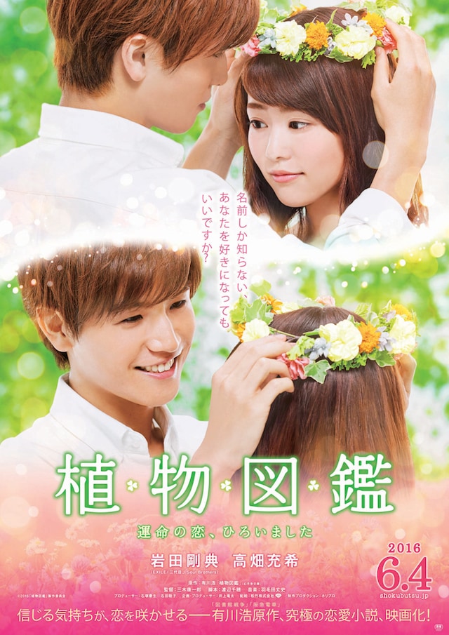 「植物図鑑 運命の恋、ひろいました」ポスタービジュアル (c)2016「植物図鑑」製作委員会