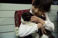 「4／猫-ねこぶんのよん-」