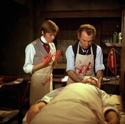 「フランケンシュタイン 恐怖の生体実験」