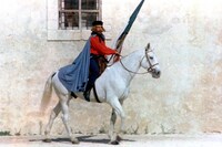 「カオス・シチリア物語」 (c)Licensed by RAI Com S.p.A. - Rome, Italy. All Rights Reserved.