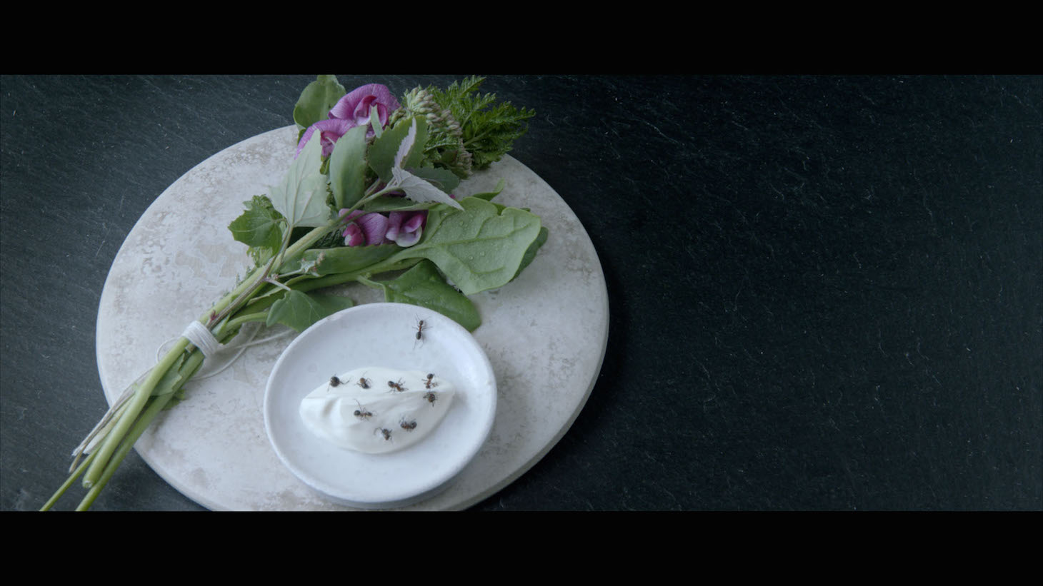 「NOMA, MY PERFECT STORM（原題）」 (c)pierredeschamps2015