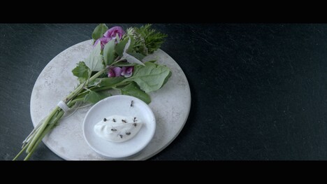 「NOMA, MY PERFECT STORM(原題)」 (c)pierredeschamps2015