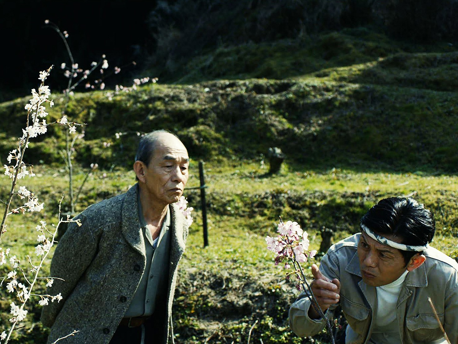 「陽光桜-YOKO THE CHERRY BLOSSOM-」 (c)GRAND KAFE PICTURES 2015