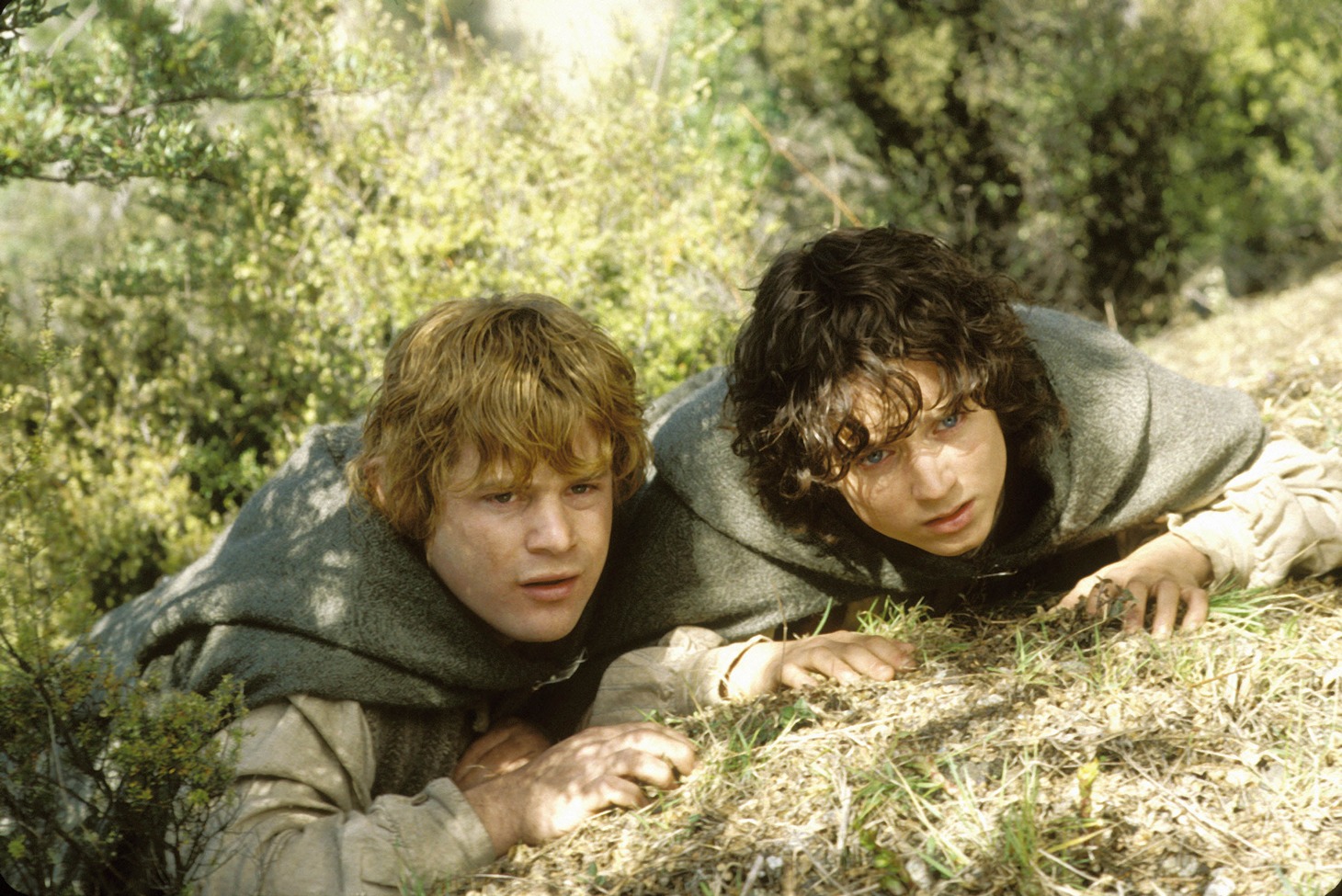 「ロード・オブ・ザ・リング／二つの塔」 (c)MMⅡNew Line Productions, Inc. (c)MMⅥ New Line Home Entertainment, Inc. The Lord of the Rings ,The Two Towers, and the names of the characters, events, items and places therein, are trademarks of The Saul Zaentz Company d/b/aTolkien Enterprises under license to New Line Productions, Inc. All Rights Reserved.