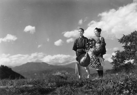 「野菊の如き君なりき」