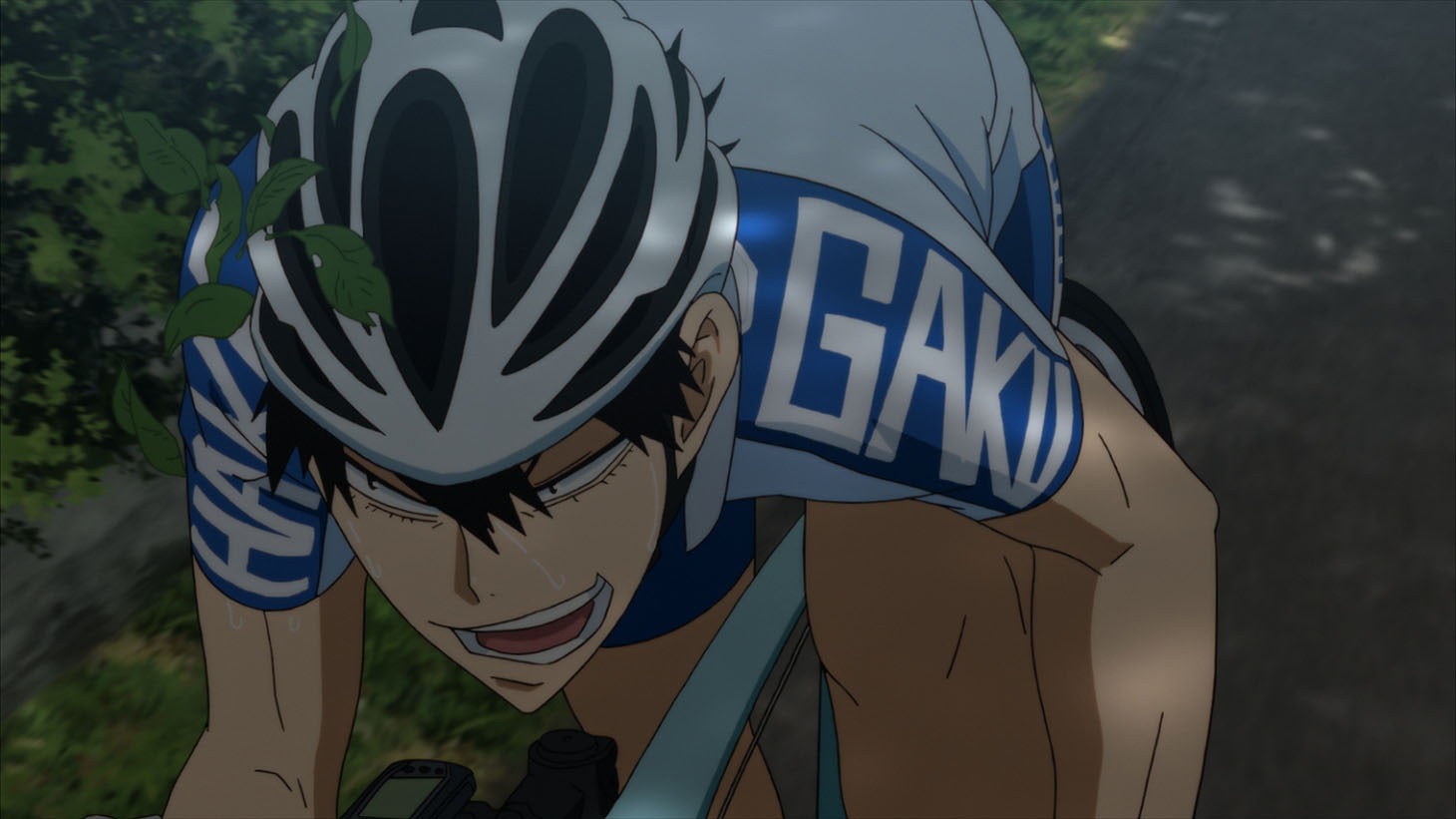 「劇場版 弱虫ペダル」 (c)渡辺航（週刊少年チャンピオン）／劇場版弱虫ペダル製作委員会