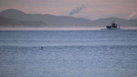 「牡蠣工場」 (c)Laboratory X, Inc.