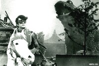 「仮面の忍者 赤影」より、第1話「怪物蟇法師」。