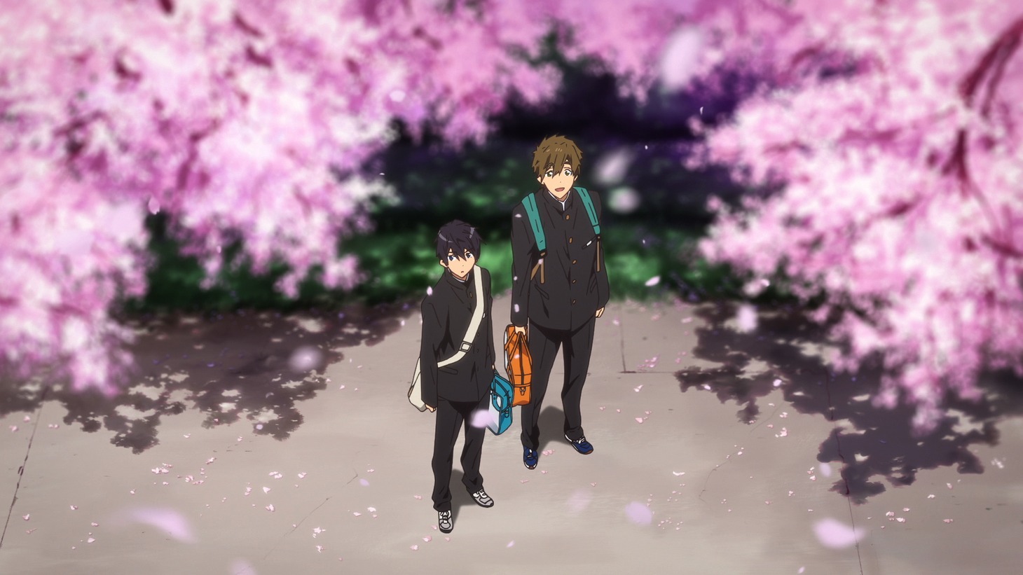 「映画 ハイ☆スピード！―Free! Starting Days―」より。