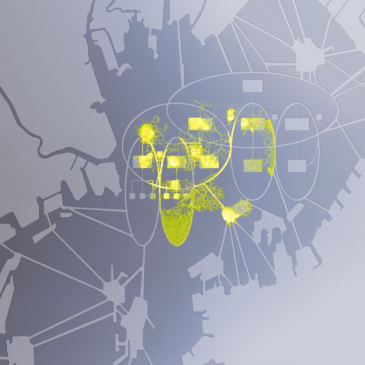 イェンナ・ステラ《組織/有機体》のためのスケッチ 2015年