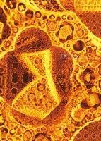 「正解するカド」ビジュアル (c)東映アニメーション/キノシタ・グループ