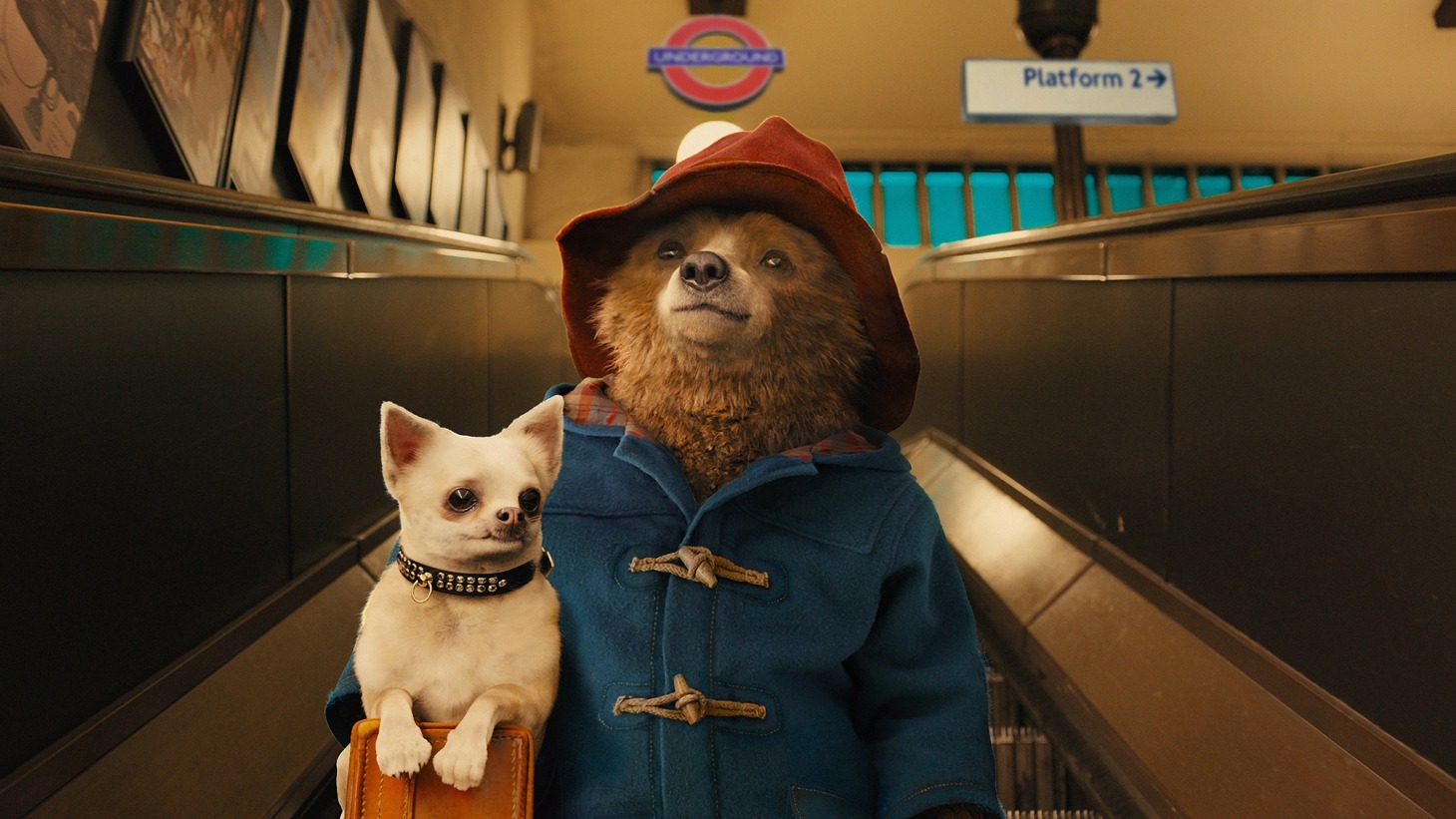 「パディントン」メインビジュアル (c)2014 STUDIOCANAL S.A.  TF1 FILMS PRODUCTION S.A.S Paddington Bear TM, Paddington TM AND PB TM are trademarks of Paddington and Company Limited