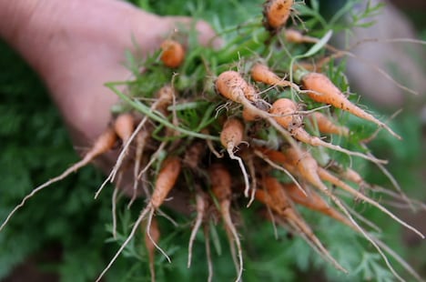 「100年ごはん」 (c)「100年ごはん」製作委員会・TME 2013