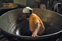 「聖者たちの食卓」 (c)Polymorfilms