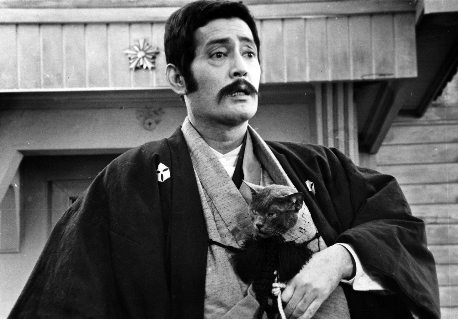 「吾輩は猫である」 (c)1975 TOHO co.,ltd
