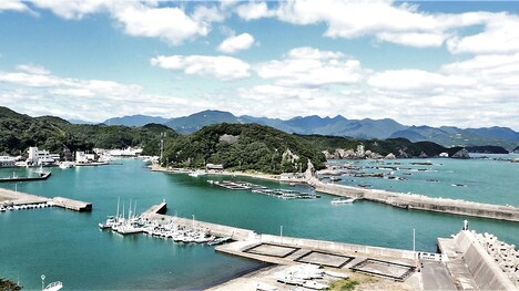 「ビハインド・ザ・コーヴ～捕鯨問題の謎に迫る～」 (c)2015YAGI Film Inc.