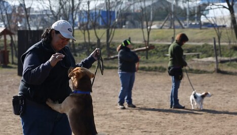 「ホワイト・ゴッド 少女と犬の狂詩曲」メイキング (c)2014 Proton Cinema, Pola Pandora, Chimney