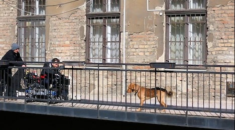 「ホワイト・ゴッド 少女と犬の狂詩曲」メイキング (c)2014 Proton Cinema, Pola Pandora, Chimney