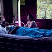 アピチャッポン・ウィーラセタクンの最新作「光りの墓」が2016年3月公開