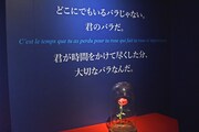 「リトルプリンス 星の王子さまと私 展」の様子。