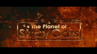 「The Planet of Stray Cats」と「マッドマックス 怒りのデス・ロード」のコラボ映像より。(c)2014 PLUS heads inc.