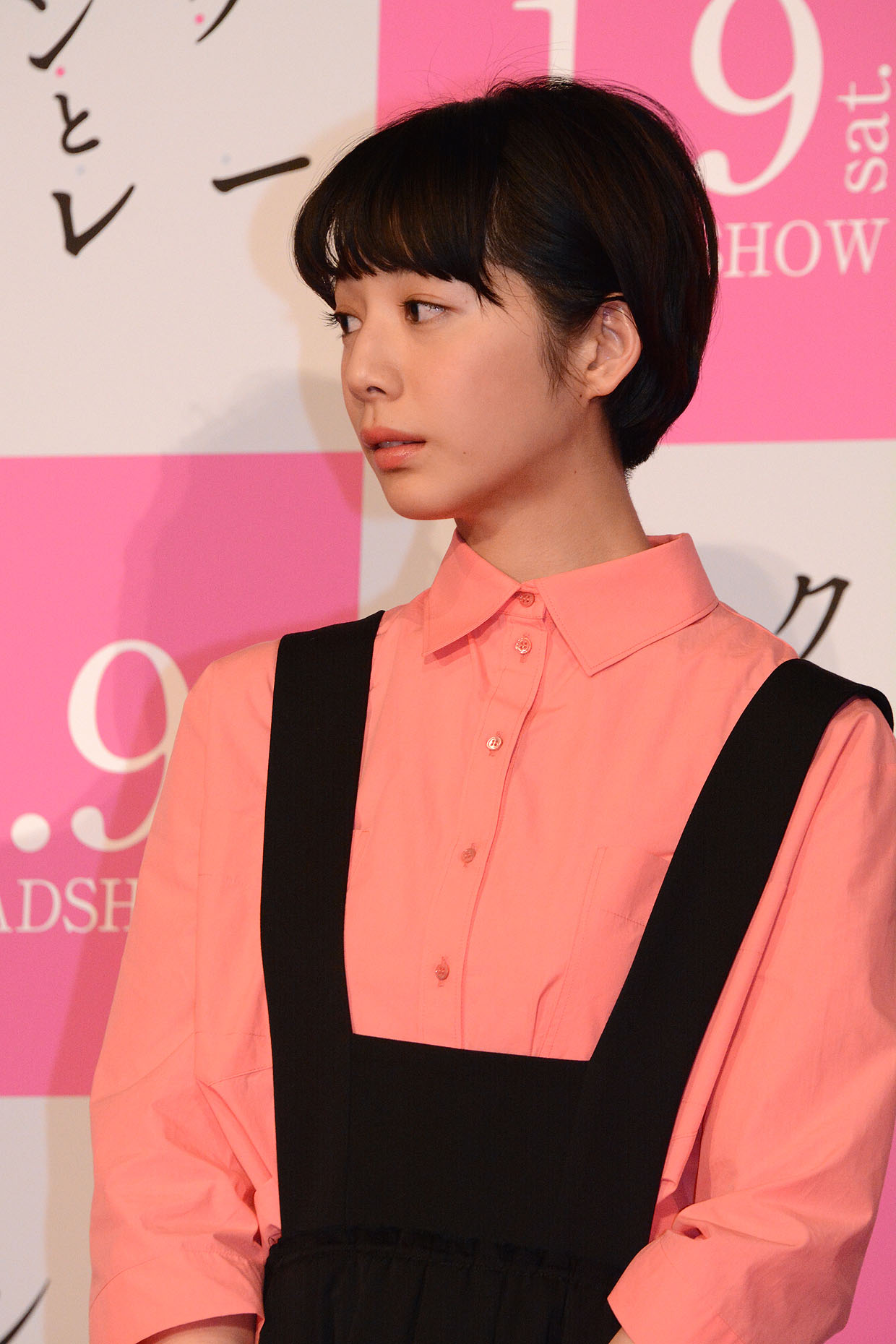 夏帆