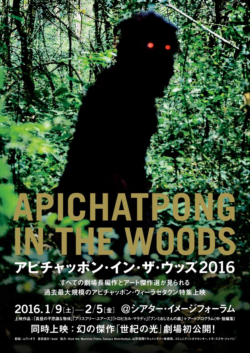 「アピチャッポン・イン・ザ・ウッズ」チラシ表面