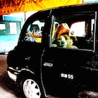 「パディントン」仕様のロンドンタクシーが都内で運行開始、窓から紳士なクマが