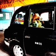 「パディントン」仕様のロンドンタクシーが都内で運行開始、窓から紳士なクマが