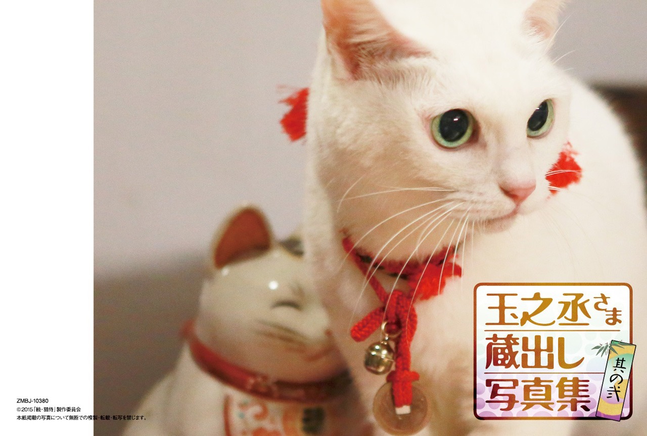 「猫侍 南の島へ行く」DVD封入特典の蔵出し写真集 其の弐。(c)2015「続・猫侍」製作委員会