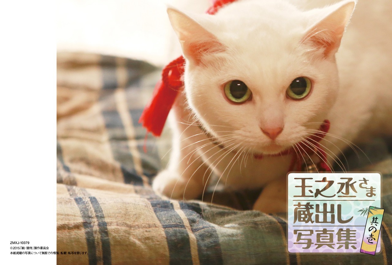 「猫侍 南の島へ行く」Blu-ray封入特典の蔵出し写真集 其の壱。(c)2015「続・猫侍」製作委員会