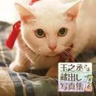 「猫侍 南の島へ行く」BD&DVDリリース、白猫・玉之丞のカレンダーも発売決定