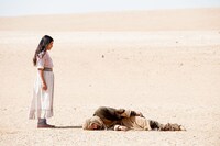 「消えた声が、その名を呼ぶ」